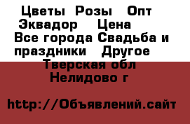 Цветы. Розы.  Опт.  Эквадор. › Цена ­ 50 - Все города Свадьба и праздники » Другое   . Тверская обл.,Нелидово г.